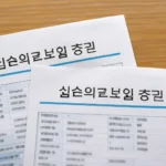 실손보험 2개