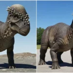 파키케팔로사우루스