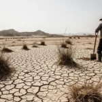 사막화 현상