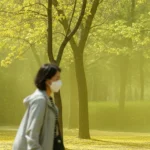 꽃가루농도위험지수